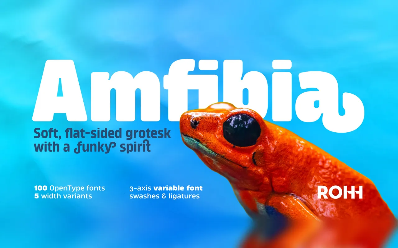 Amfibia specimen from ROHH