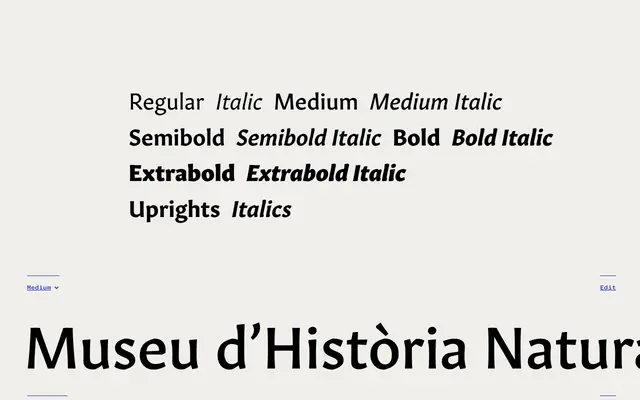 Gitan Latin specimen from Rosetta