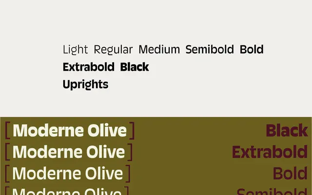 Moderne Olive specimen from Rosetta