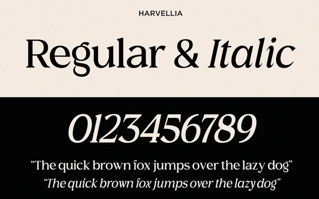 Harvellia specimen from Say Studio
