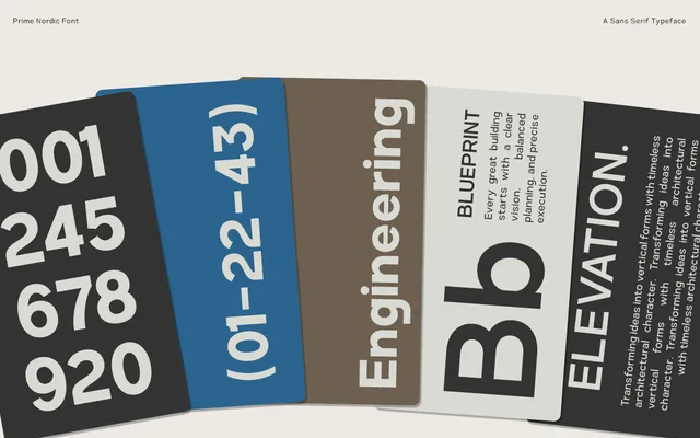 Prime Nordic specimen from Say Studio