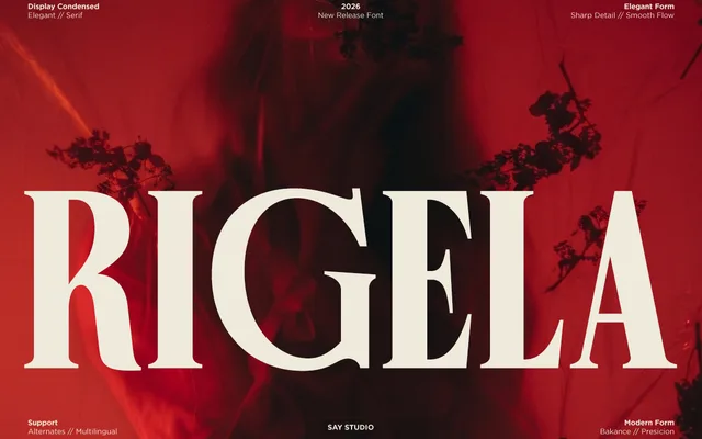 Rigela specimen from Say Studio