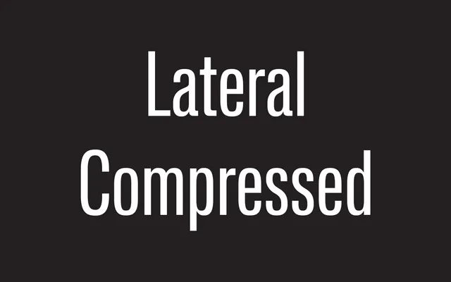 Lateral Compressed specimen from Schick Toikka