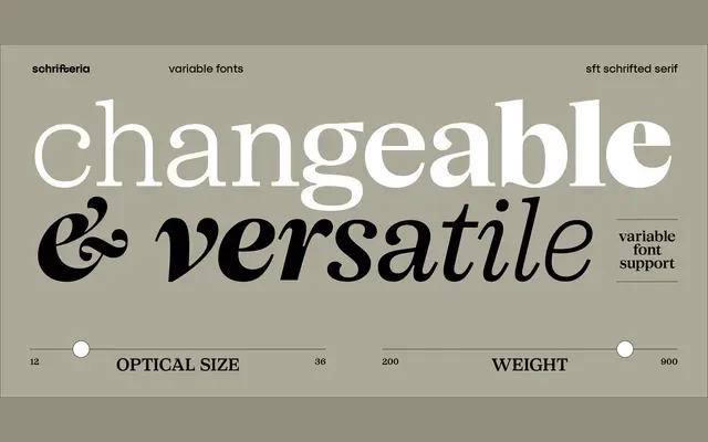 SFT Schrifted Serif specimen from Schrifteria