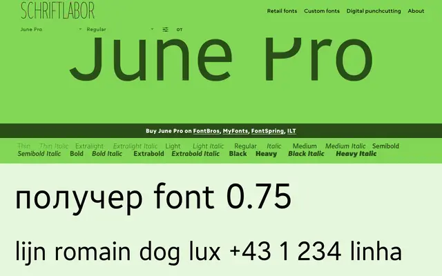 June Pro specimen from Schriftlabor