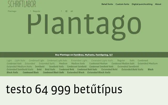 Plantago specimen from Schriftlabor