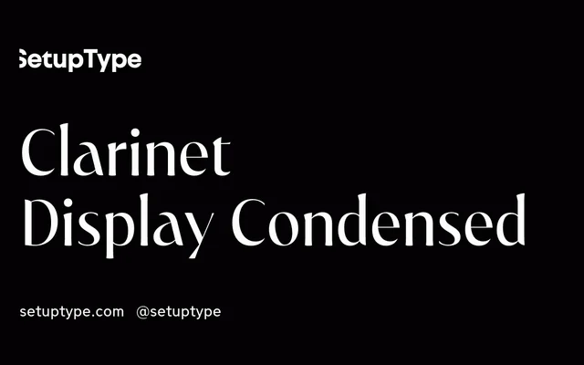 Clarinet Display Condensed specimen from Setup Type