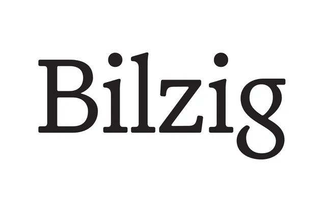 Bilzig specimen from Skritur