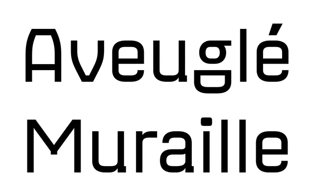 Werkzeug specimen from Slow Fonts