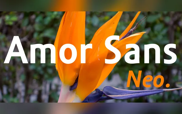 Amor Sans Neo specimen from Storm Type Foundry