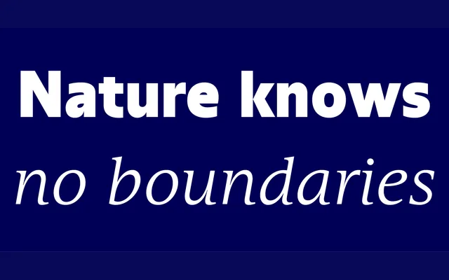 Bohemica Sans & Serif specimen from Storm Type Foundry