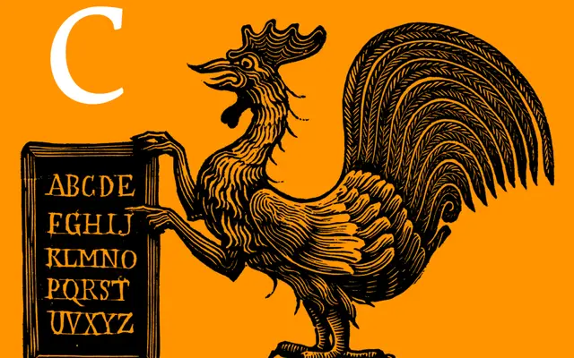 Comenia Serif Pro specimen from Storm Type Foundry