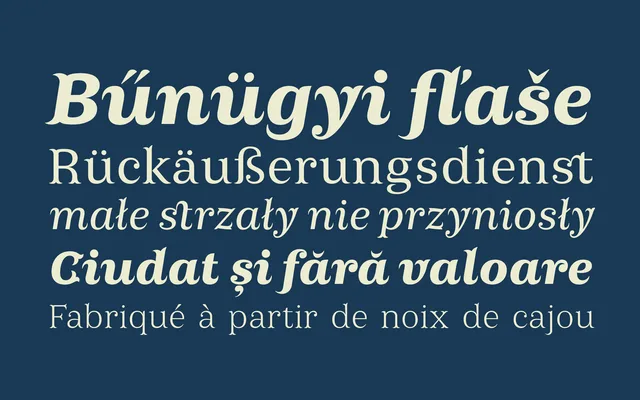 Ermina specimen from Storm Type Foundry