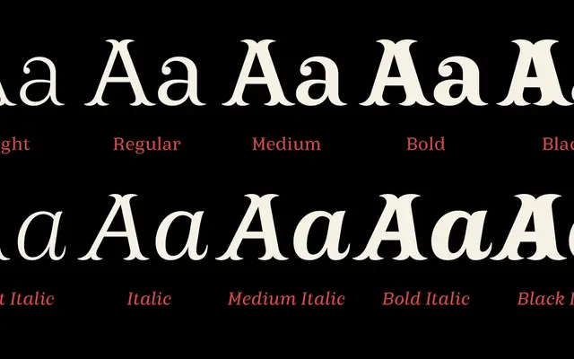 Ermina specimen from Storm Type Foundry