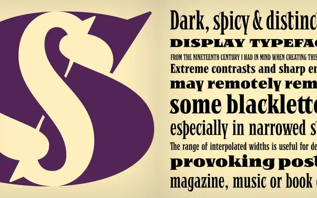 Negro specimen from Storm Type Foundry