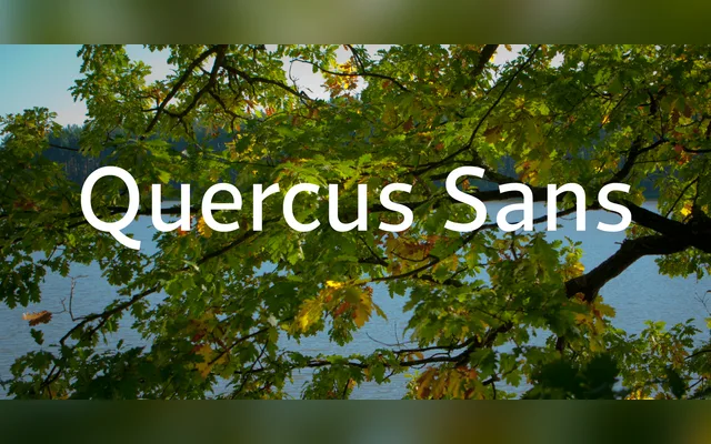 Quercus Sans specimen from Storm Type Foundry