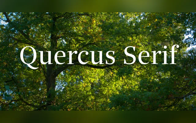 Quercus Serif specimen from Storm Type Foundry