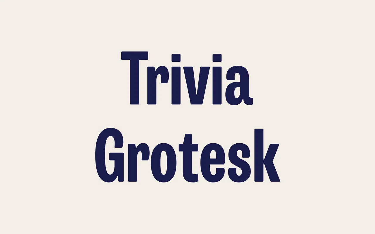Trivia Grotesk specimen from Storm Type Foundry