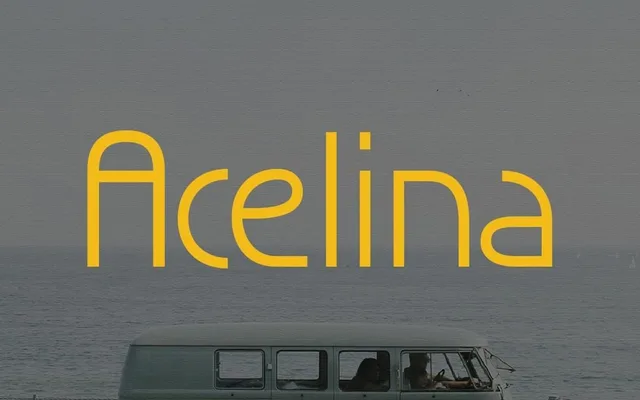 Acelina specimen from Studio 2AM
