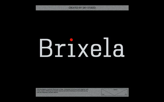 Brixela specimen from Studio 2AM