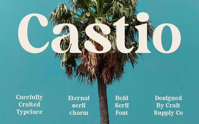 Castio specimen from Studio 2AM