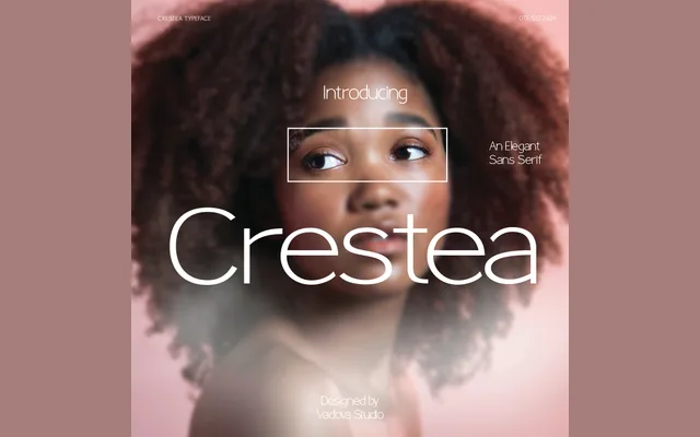 Crestea specimen from Studio 2AM