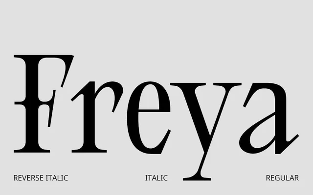 CS Freya specimen from Studio 2AM