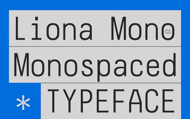CS Liona Mono specimen from Studio 2AM