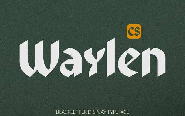 CS Waylen specimen from Studio 2AM