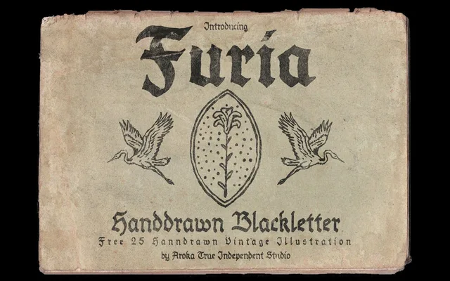 FURIA Handrawn specimen from Studio 2AM
