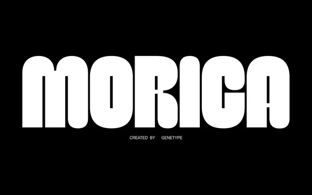 Morica specimen from Studio 2AM