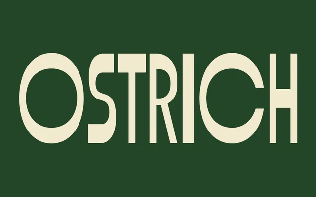 Ostrich specimen from Studio 2AM
