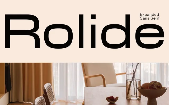 Rolide specimen from Studio 2AM
