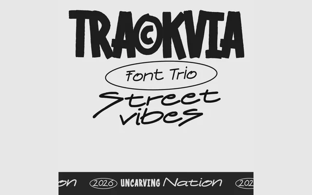 Trackvia specimen from Studio 2AM