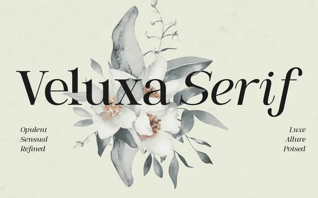 Veluxa Serif specimen from Studio 2AM
