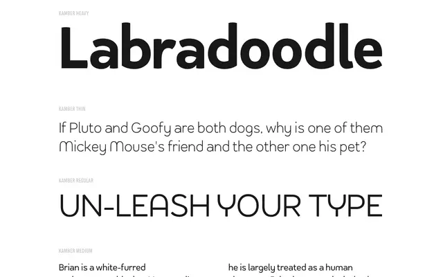 Kamber specimen from Studio Buchanan