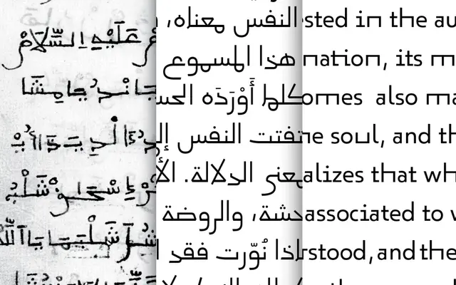 29LT Okaso specimen from Studio Linda Hintz