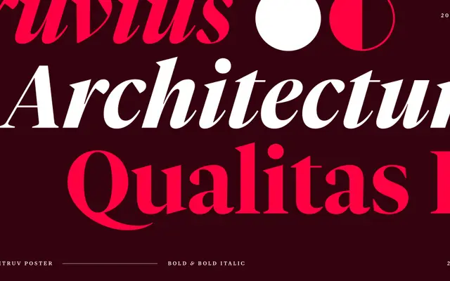 Vitruv Poster specimen from Studio Rene Bieder