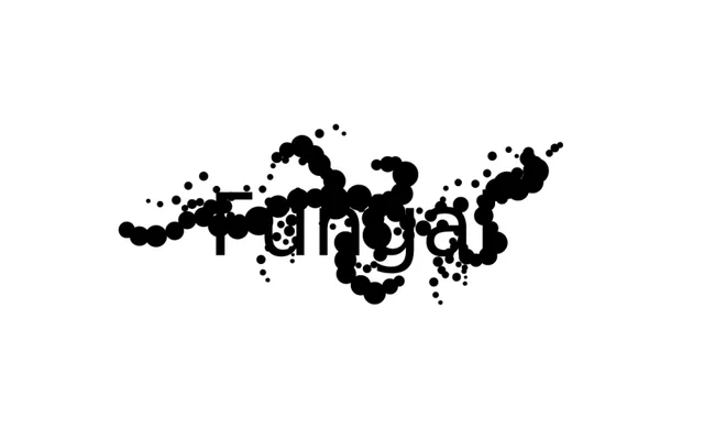 Fungal specimen from Studio Triple