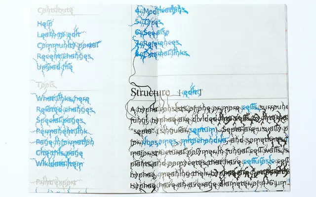 Fungal specimen from Studio Triple