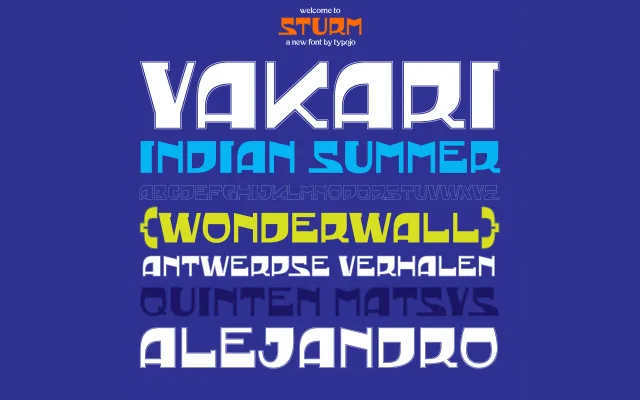ST Sturm specimen from Studio Type