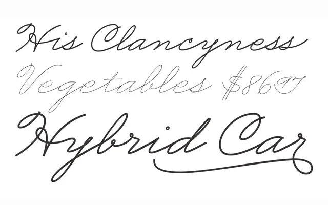 Business Penmanship specimen from Sudtipos