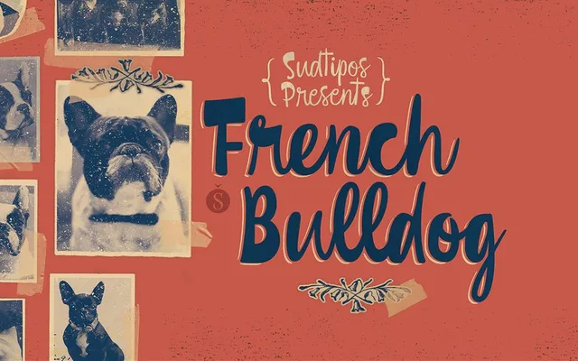 French Bulldog specimen from Sudtipos