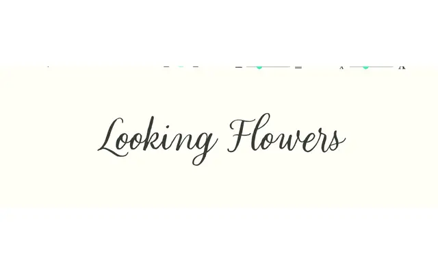 Looking Flowers specimen from Sudtipos