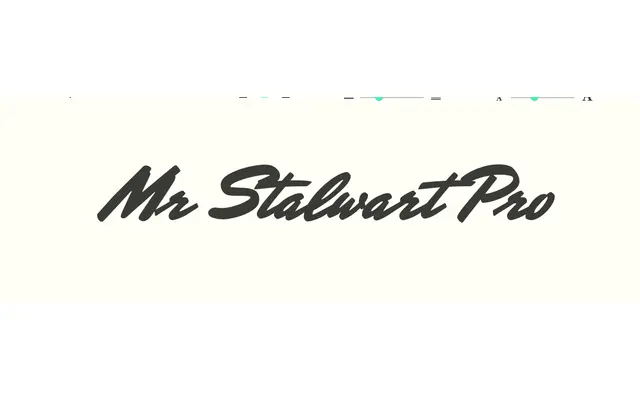 Mr Stalwart Pro specimen from Sudtipos