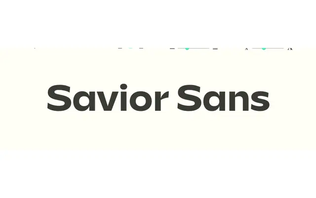 Savior Sans specimen from Sudtipos