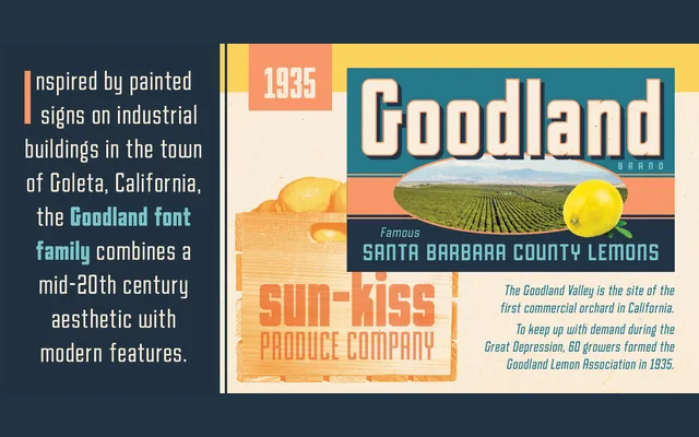 Goodland specimen from Swell Type