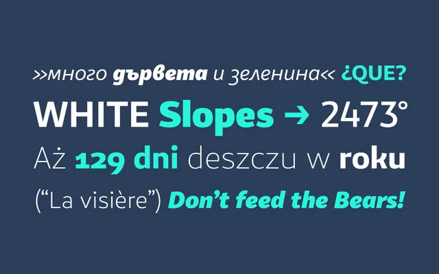 VanSans specimen from Tandem Type