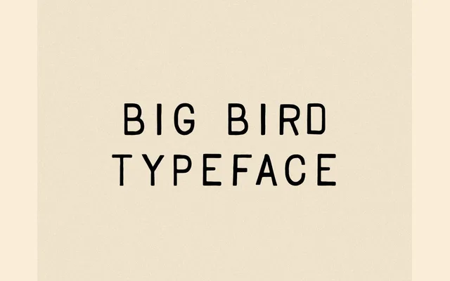 Big Bird specimen from Taylor Penton