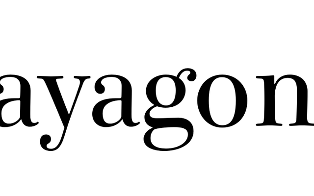 Consul specimen from Terminal Design